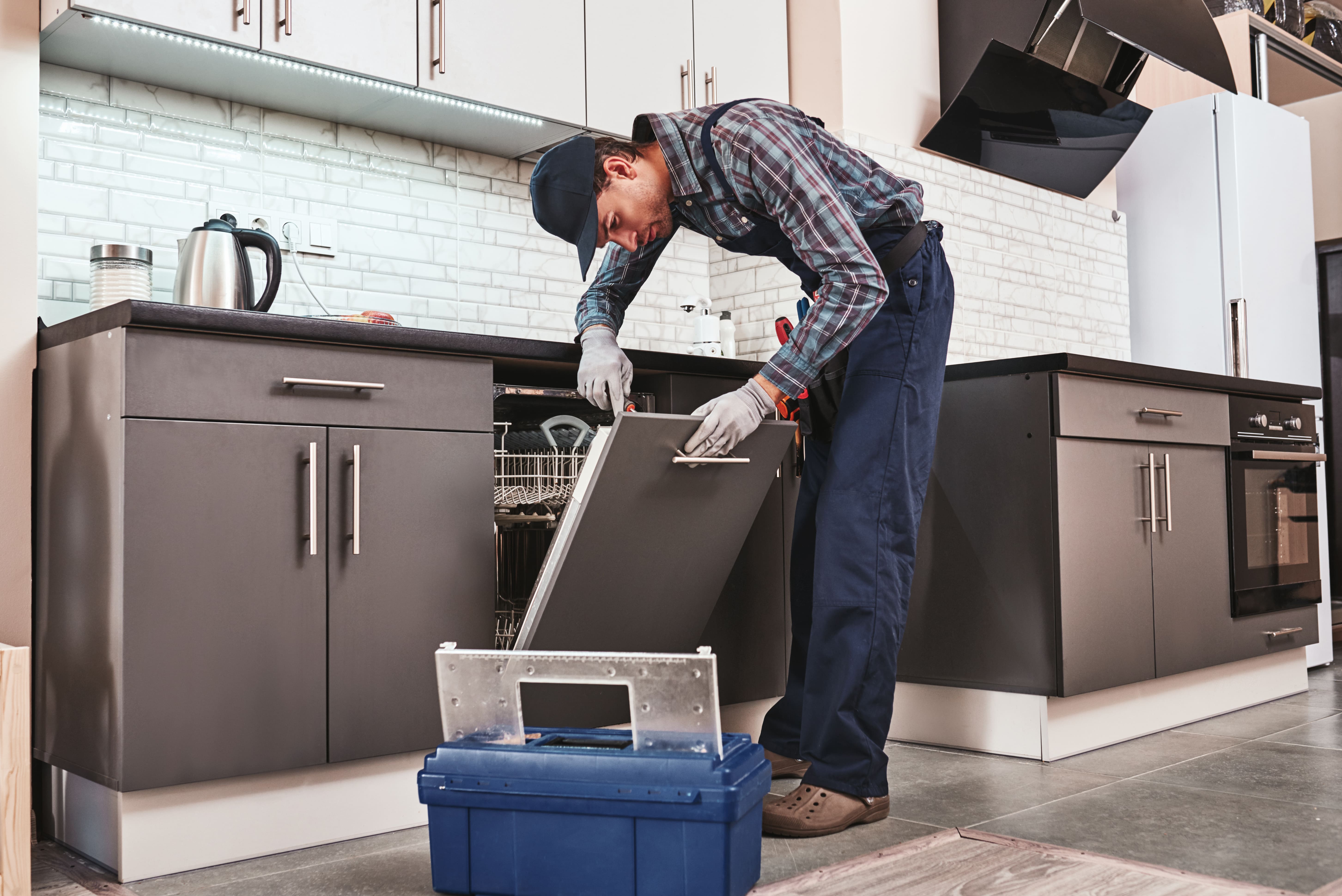 Ofrecemos Reparación de Lavavajillas Electrolux